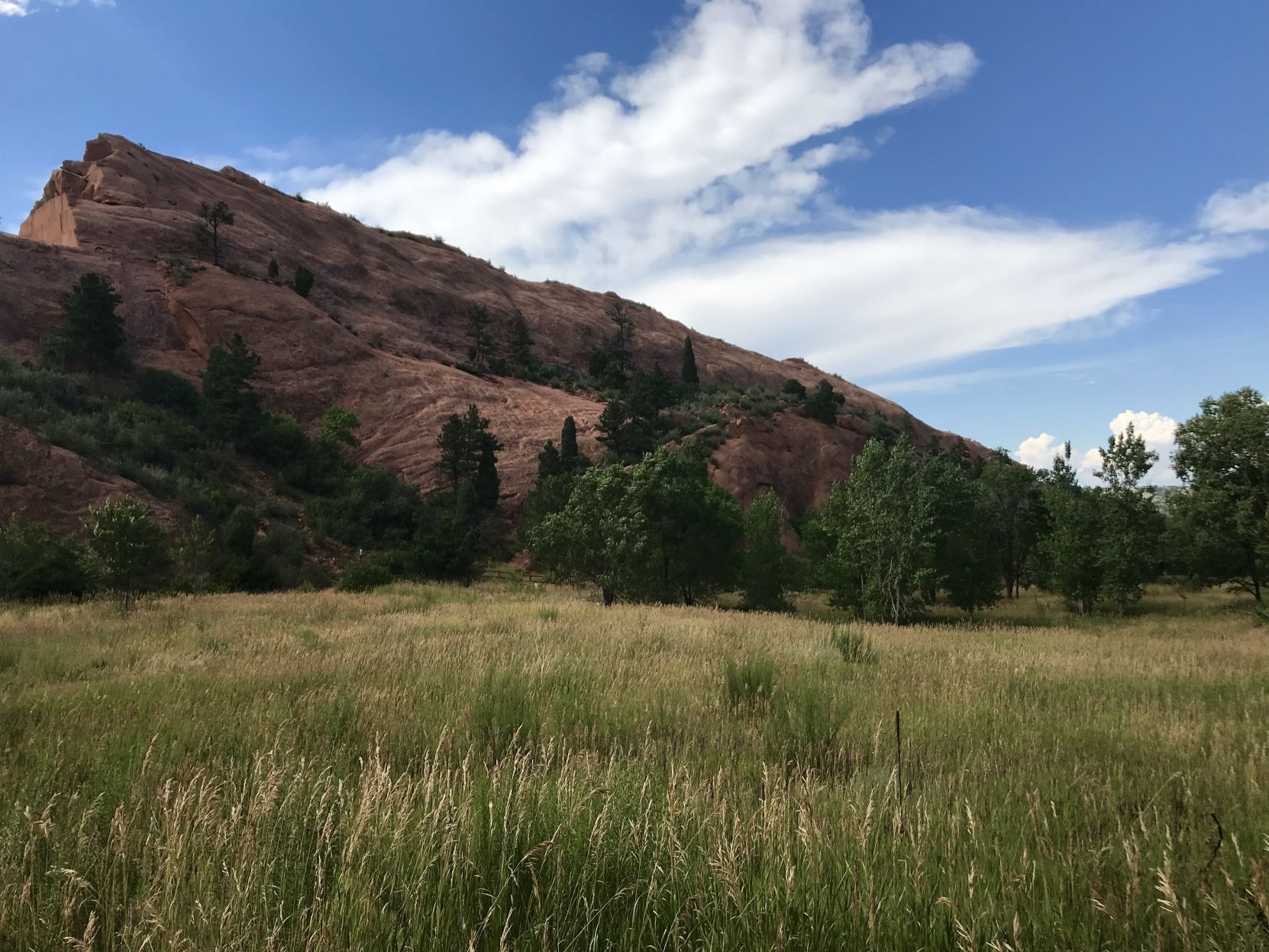 red rock canyon 5.jpg